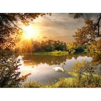Papermoon Tapete Schwan am Teich