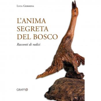 L'anima segreta del bosco. Racconti di radici. Ediz. illustrata