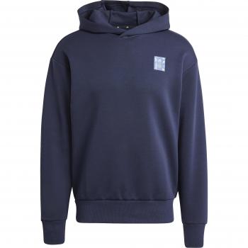 Ajax Amsterdam 2024/25 Hoodie
