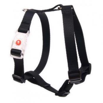 LED Dog Harness Matteo - Black - Adjustable 30-50 cm