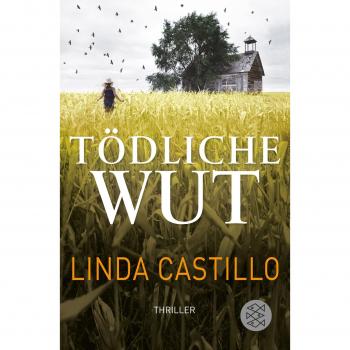 Linda Castillo Tödliche Wut: Thriller