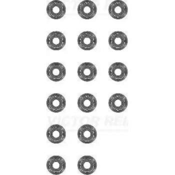 Viktor Reinz Seal Set, valve stem 124061601