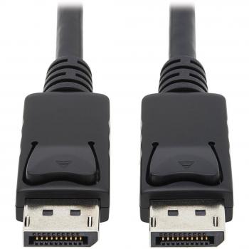 Tripp Lite P580-010 10 ft DisplayPort Cable 4K 60Hz
