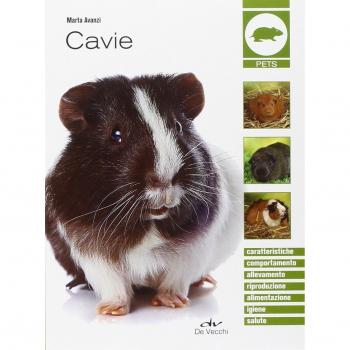 Cavie