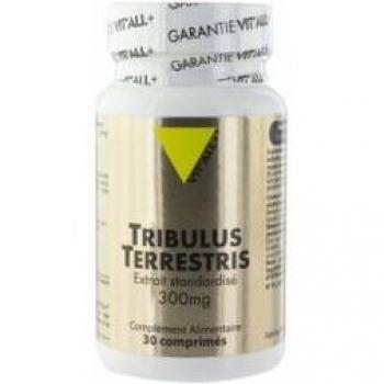 TRIBULUS 300 mg 30 comprimés Vitall+