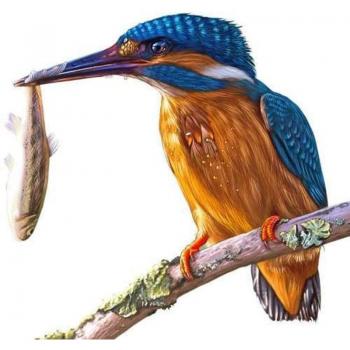 5D Diamant Borduurwerk Schilderij met Strass voor Vogels