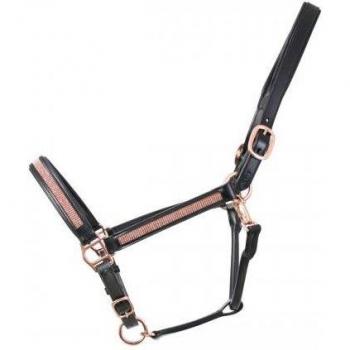 Collar Elegante Caballo Rosciano