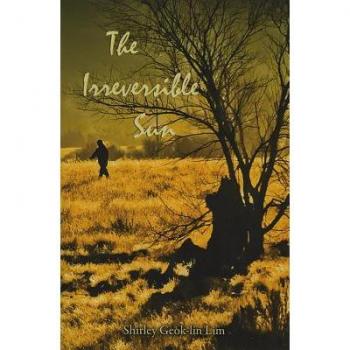 The Irreversible Sun by Shirley Geoklin Lim