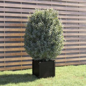 Maceta Madera Maciza Negra 40x40x40