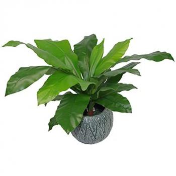 Large 60cm Faux Fern in a Decorative Bird's Nest