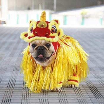 Ropa Divertida Aniversario Canino