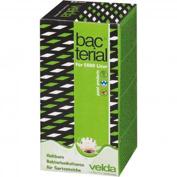 Velda Bactéries, cultures bactériennes pour étangs de jardin - 50 ml