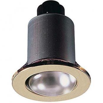 Netlighting Brass Mains Downlight 230V 60W