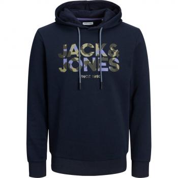 Jack & Jones JJJAMES Hoodie