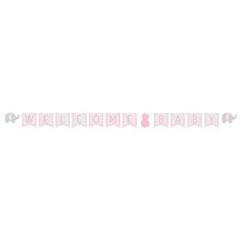 Welcome Baby Peanut Banner - Grey and Pink