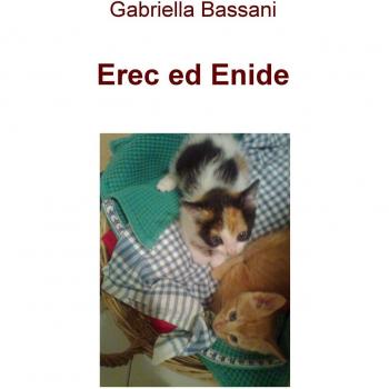 Erec ed Enide. ...todo cambia...