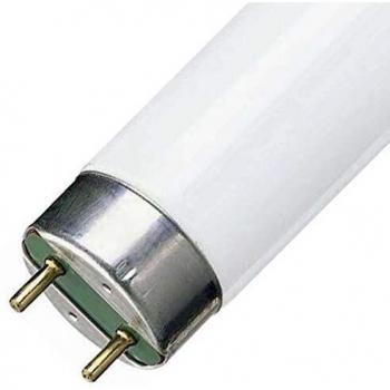 Philips TL-D HF Super 80 32W 840 (MASTER) | 120cm - Kaltweiß
