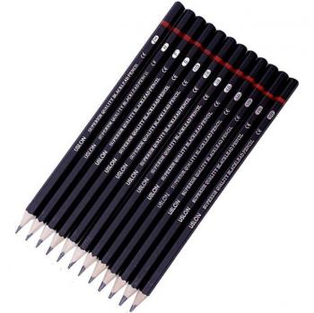 12-delige Professionele Tekening Potlood Set - 2H tot 8B