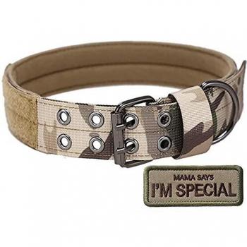 Collier de Chien S.Lux Nylon avec Poignée de Commande
