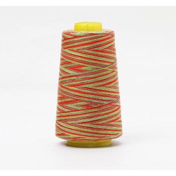 Hilo de Poliester 40S/2 Arcoíris para Acolchar