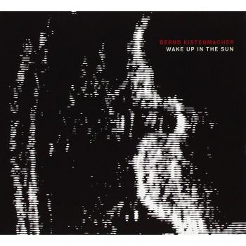 Wake Up In The Sun