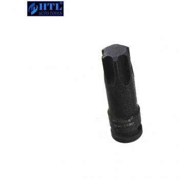 1/2 Zoll Torx Bit T50 bis T100