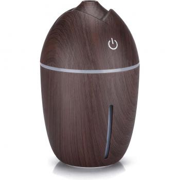 Nebulizador USB Coche