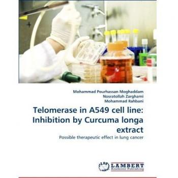 Telomerase in A549 cell line: Inhibition by Curcuma longa extract: Possible therapeutic effect in lung cancer