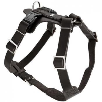 Set Collare e Guinzaglio Hunter Aalborg