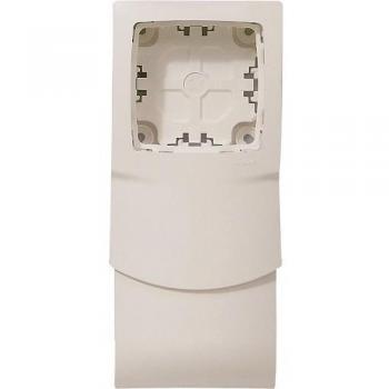 Cadre 1 poste pour plinthe 80 x 20 mm