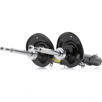 RIDEX PLUS Ammortizzatore PEUGEOT,CITROËN,DS 854S2028P 5202Y6
