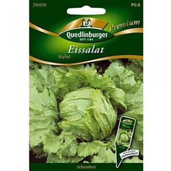 Eissalat Stylist - Frisch und knackig