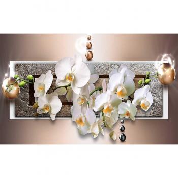 Orchidées Murales Élégance