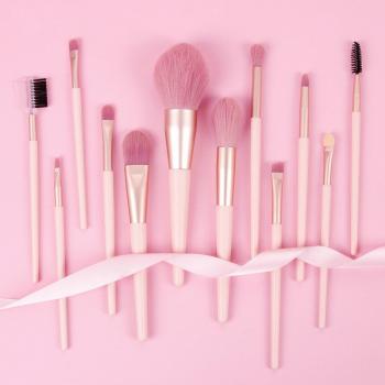 12pc Pink Makeup Brush Set