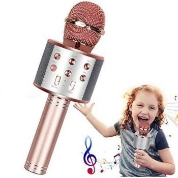 Karaoké Sans Fil Microphone Haut-Parleur Enregistreur