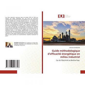Bognini, Abraham W: Guide méthodologique d¿efficacité énergétique en milieu industriel
