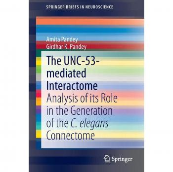 The UNC-53-mediated Interactome: Analysis of its Role in the Generation of the C. elegans Connectome