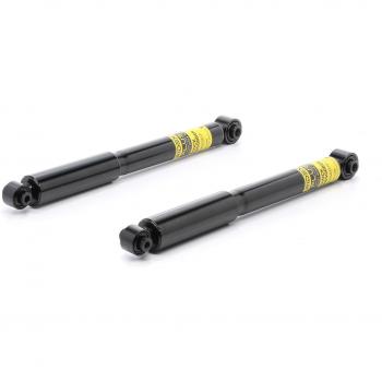 RIDEX PLUS Ammortizzatore CITROËN