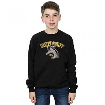 Harry Potter Hufflepuff Sport Sweatshirt