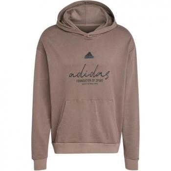 ADIDAS Herren Hoodie BL braun | L