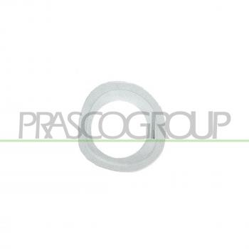 PRASCO Halter für Ford Nebelscheinwerfer FD1051247 – Modell 1029157