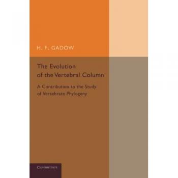 The evolution of the vertebral column