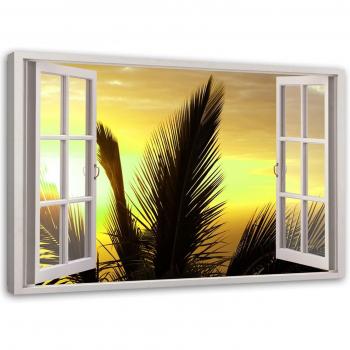 Ventana de Palmera Amarilla