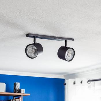 ALDEX Bot Black Ceiling Light, Two-Bulb