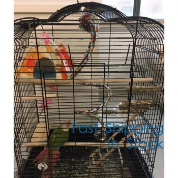Rotary Type Bird Toy for Parrots