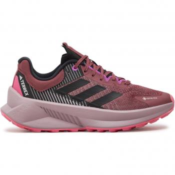 Adidas Women's Terrex Flow GTX Trail Shoes