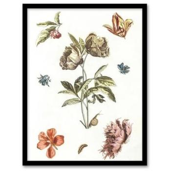 Johan Teyler Garden Escape – 12x16 Framed Canvas