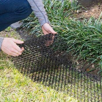 Tapis anti-griffes pour chiens et chats