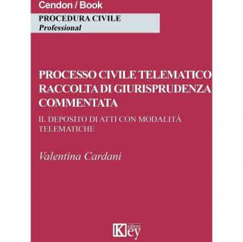 Processo civile telematico raccolta di giurisprudenza commentata. Il deposito di atti con modalità telematiche