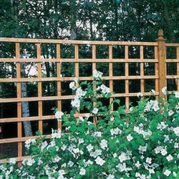 Forest Garden Forest 6' x 2' Heavy Duty Square Garden Trellis Fence Panel